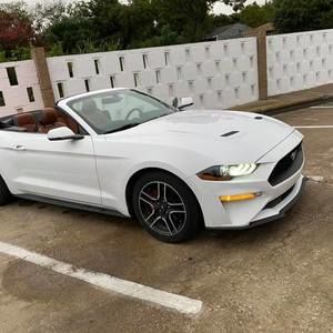 Meet your Posher, Johsimar